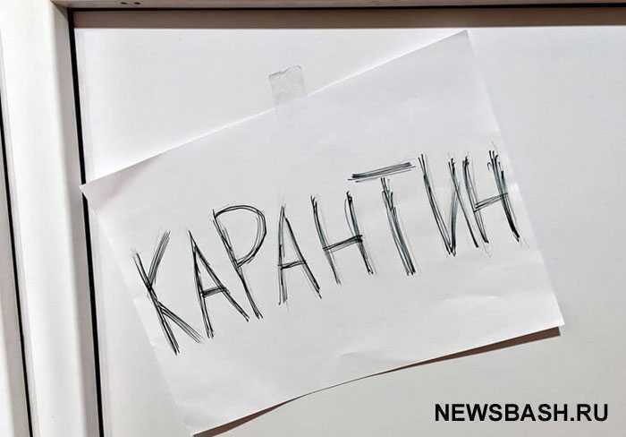 В Башкирии ввели карантин по бешенству в Белебеевском районе