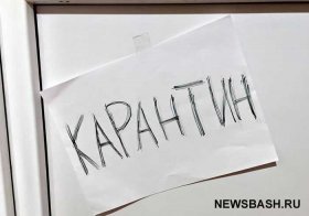 Бешенство добралось до башкирского Приютово — карантин объявлен по всему поселку